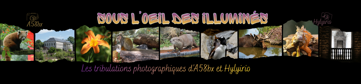 Les photos des illuminés