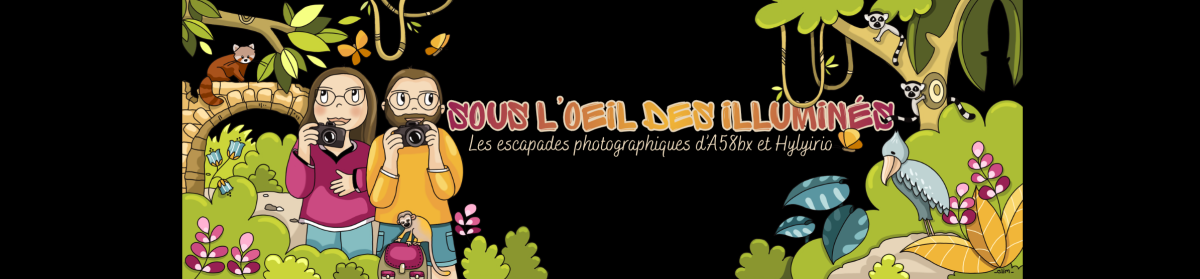 Les photos des illuminés